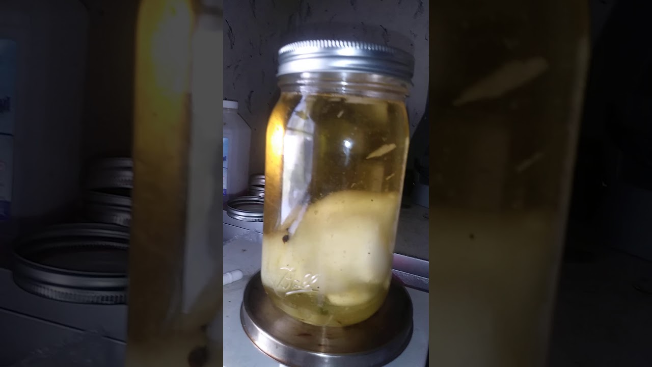 making cannabis infused coconut oil from shatter