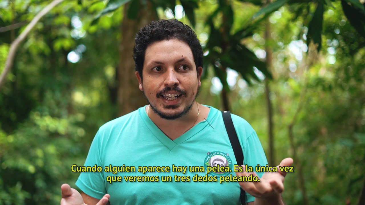Virtual Sloth Walk at Tulemar Resort!