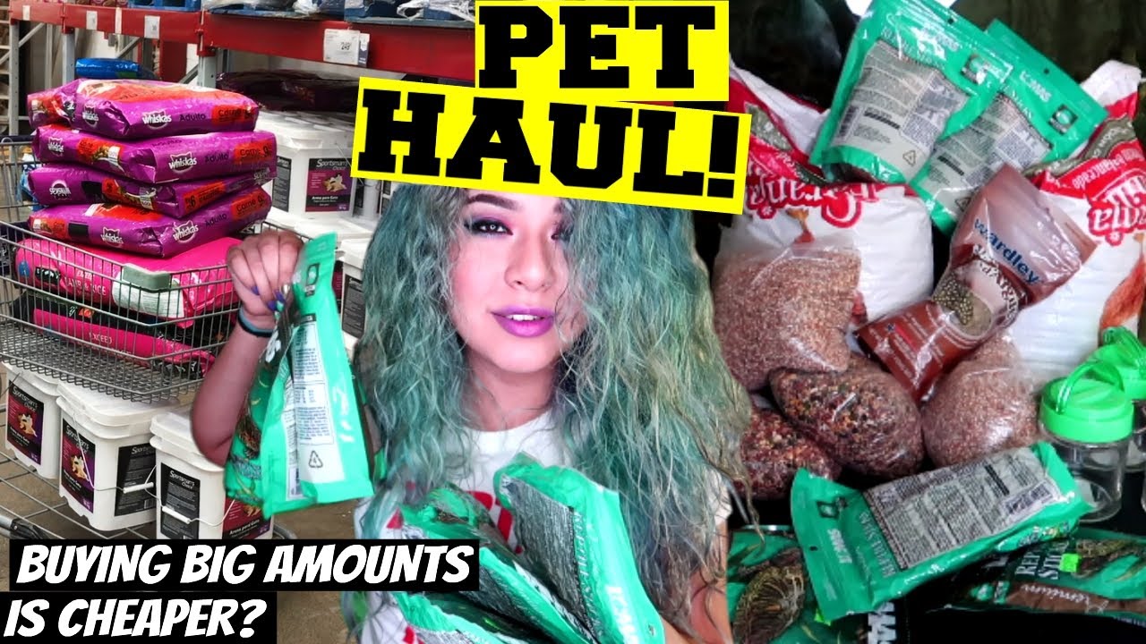 PET HAUL! + HOW I AFFORD ALL MY PETS