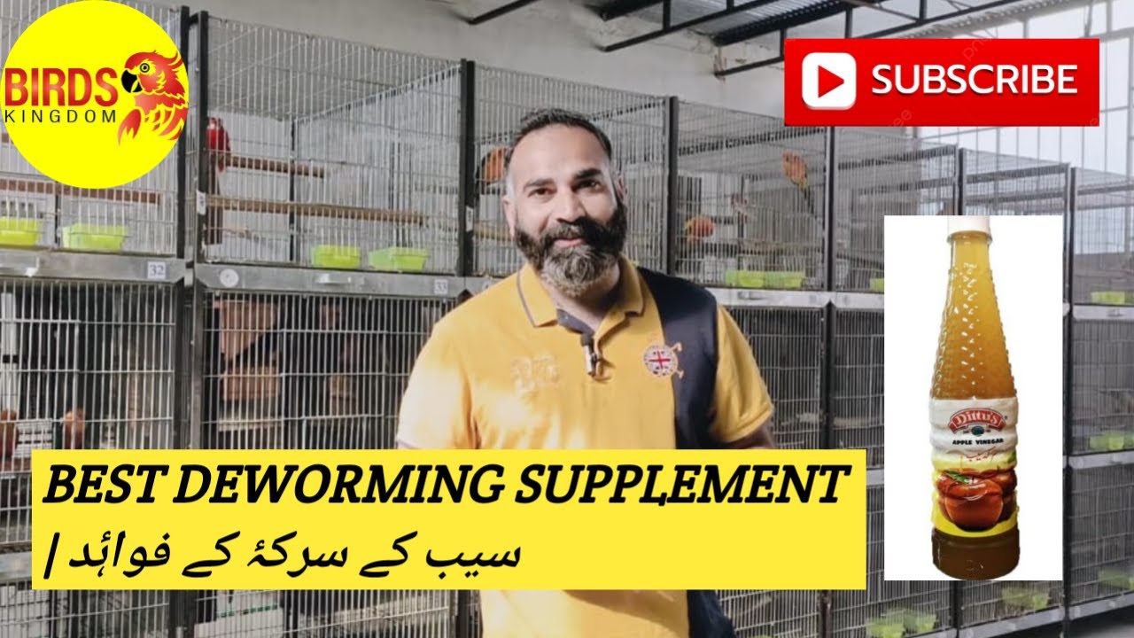 BENEFITS OF APPLE CIDER FOR BIRDS |  DEWORMING | پرندوں کے لیے سیب کے سرکۂ کے فواۂد#BIRDSKINGDOM