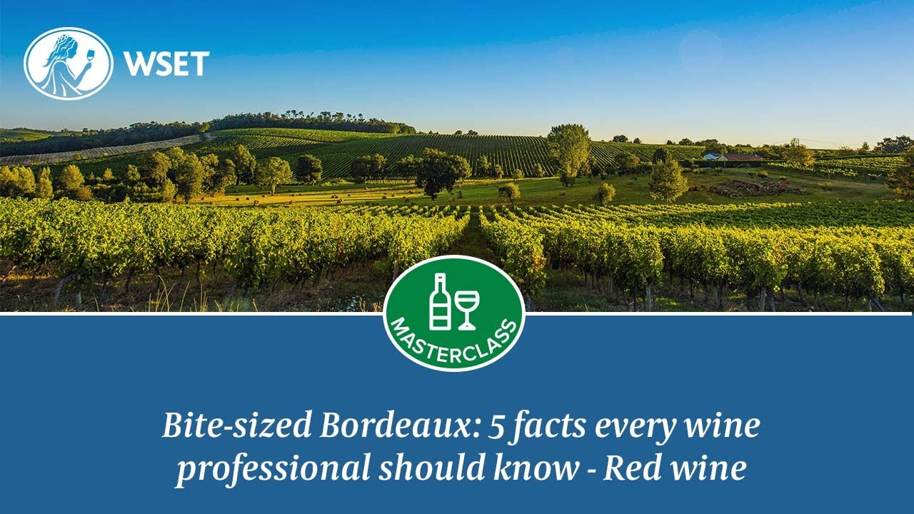 Bite-sized Bordeaux: 5 facts every wine professional should know! Red wine