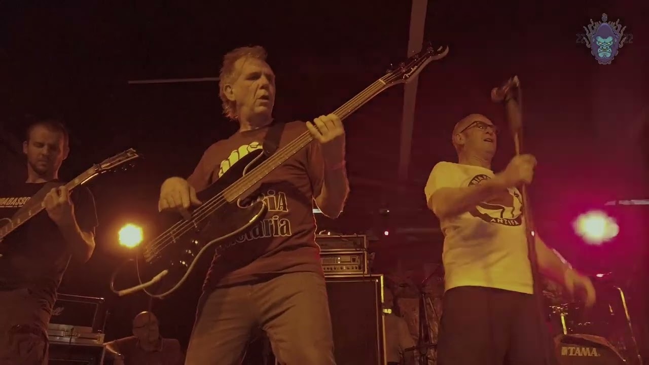 QUE LINDA ES CUBA/BANDA BASSOTTI CDMX/ PRODUCCIONES GORILLA