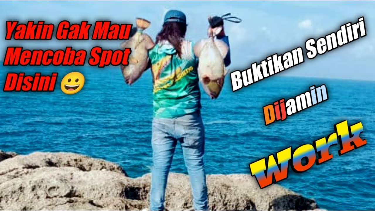 MANCING IKAN TRIGGER FISH/POGOT /AYAM AYAM,MEMANG MANTAF 👍👍👍