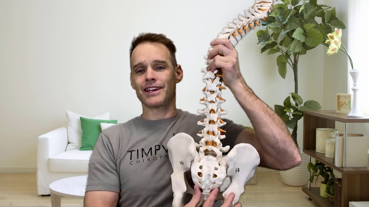 Podcast 6 Pregnancy: Webster Technique and more