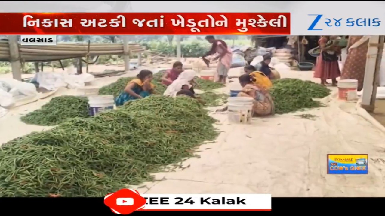 Iran-Israel War:Valsad farmers troubled as exports get halted following war situation in Middle East