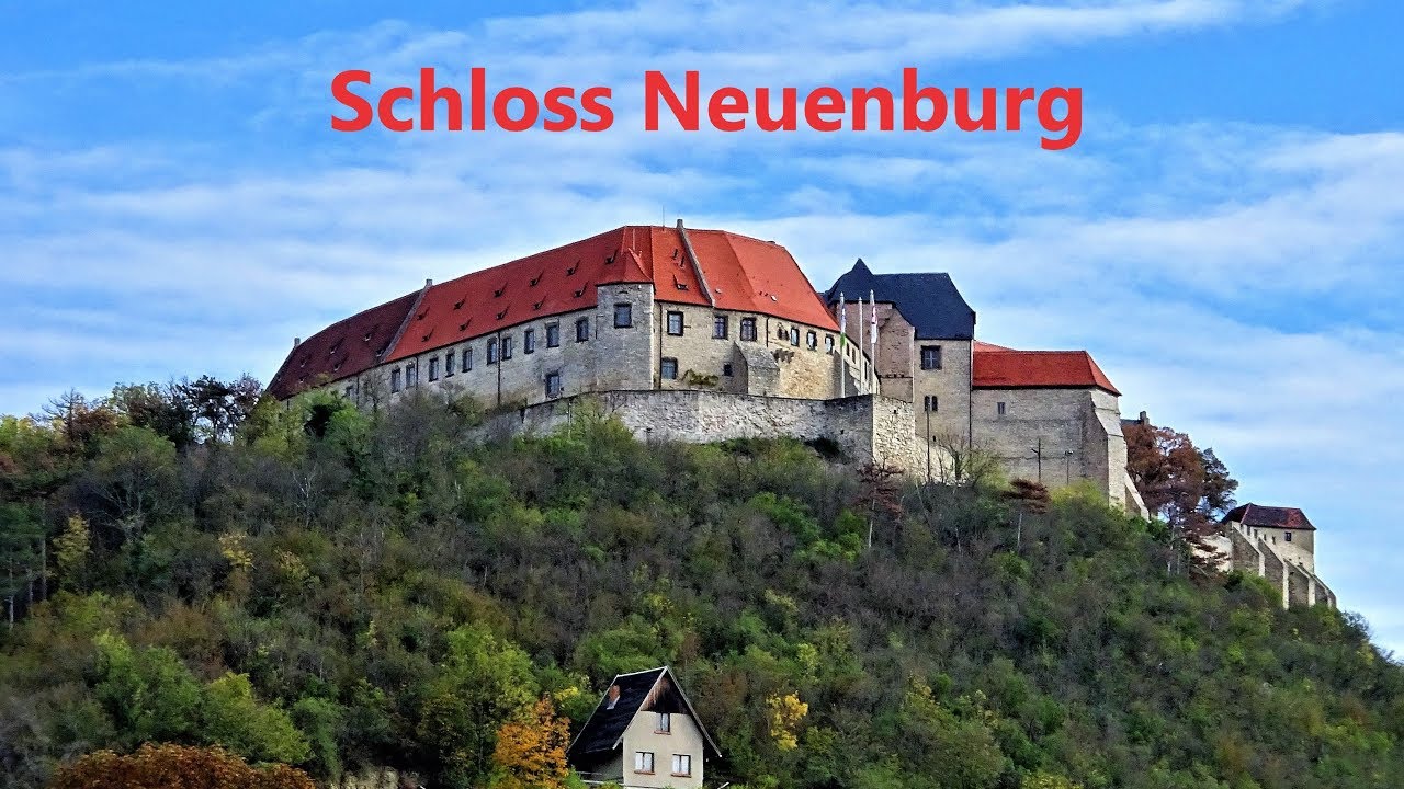 Wandern in Sachsen Anhalt - Zu den wilden Koniks und Schloss Neuenburg(4k, 2019)