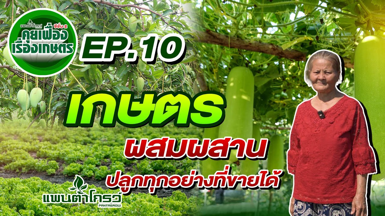 พื้นที่เดียว สร้างรายได้หลายทาง | คุยเฟื่องเรื่องเกษตร ซีซั่น 2 Ep.10