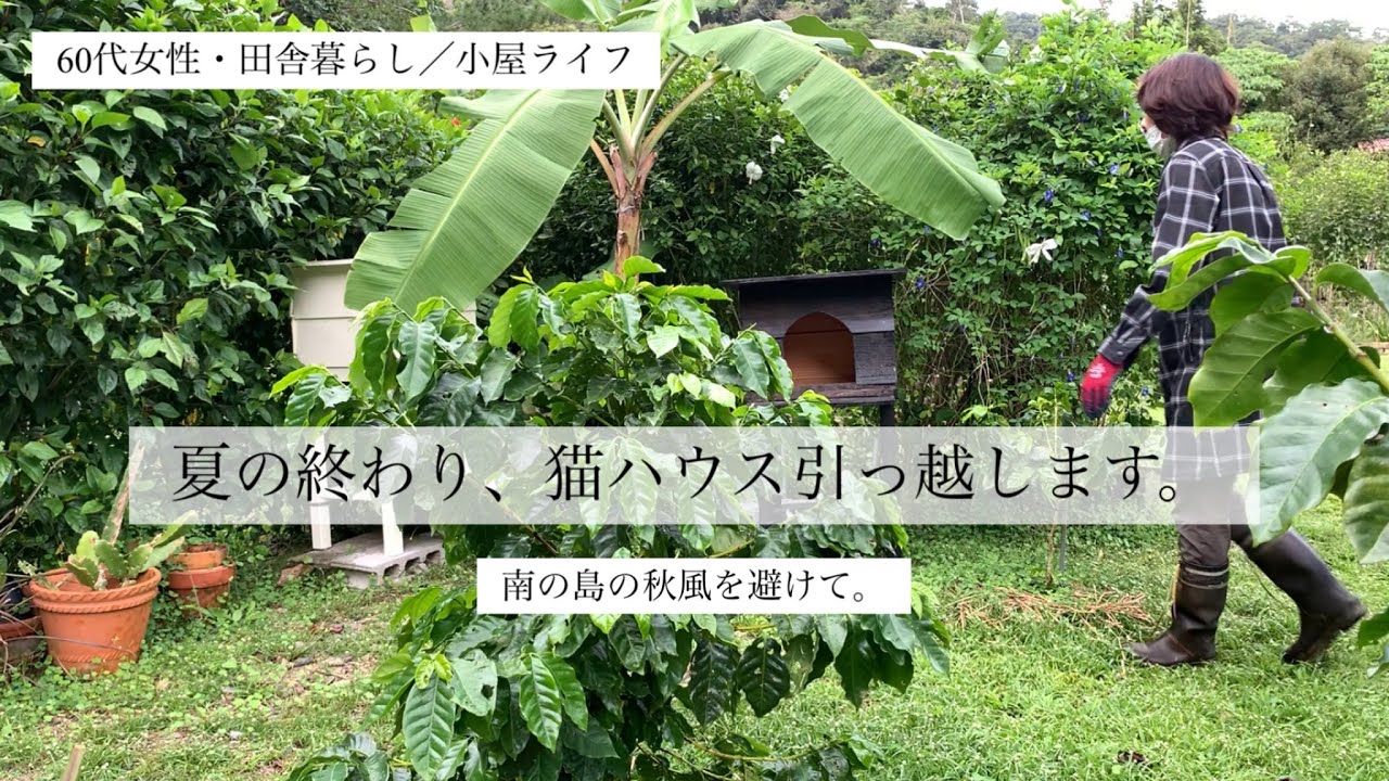 [60代女性•田舎暮らし/小屋ライフ]夏の終わり、猫ハウス引っ越します。南の島の秋風を避けて。