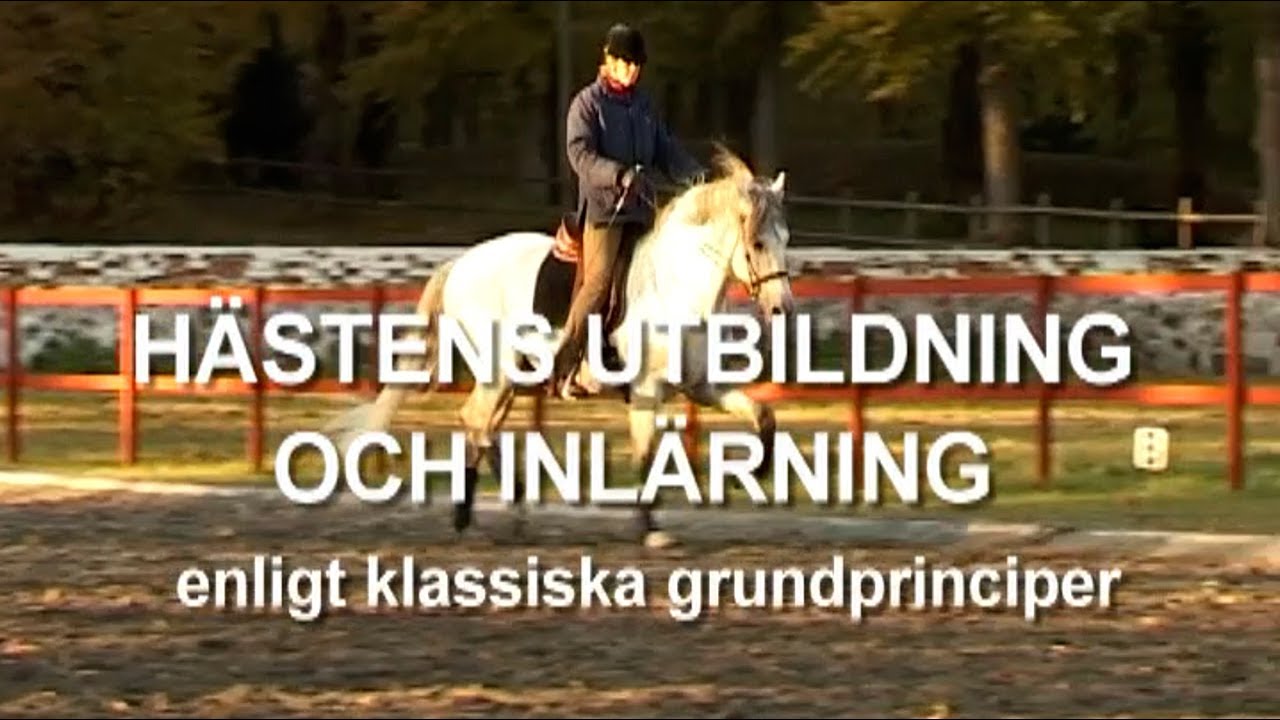 Hästens inlärning och utbildning