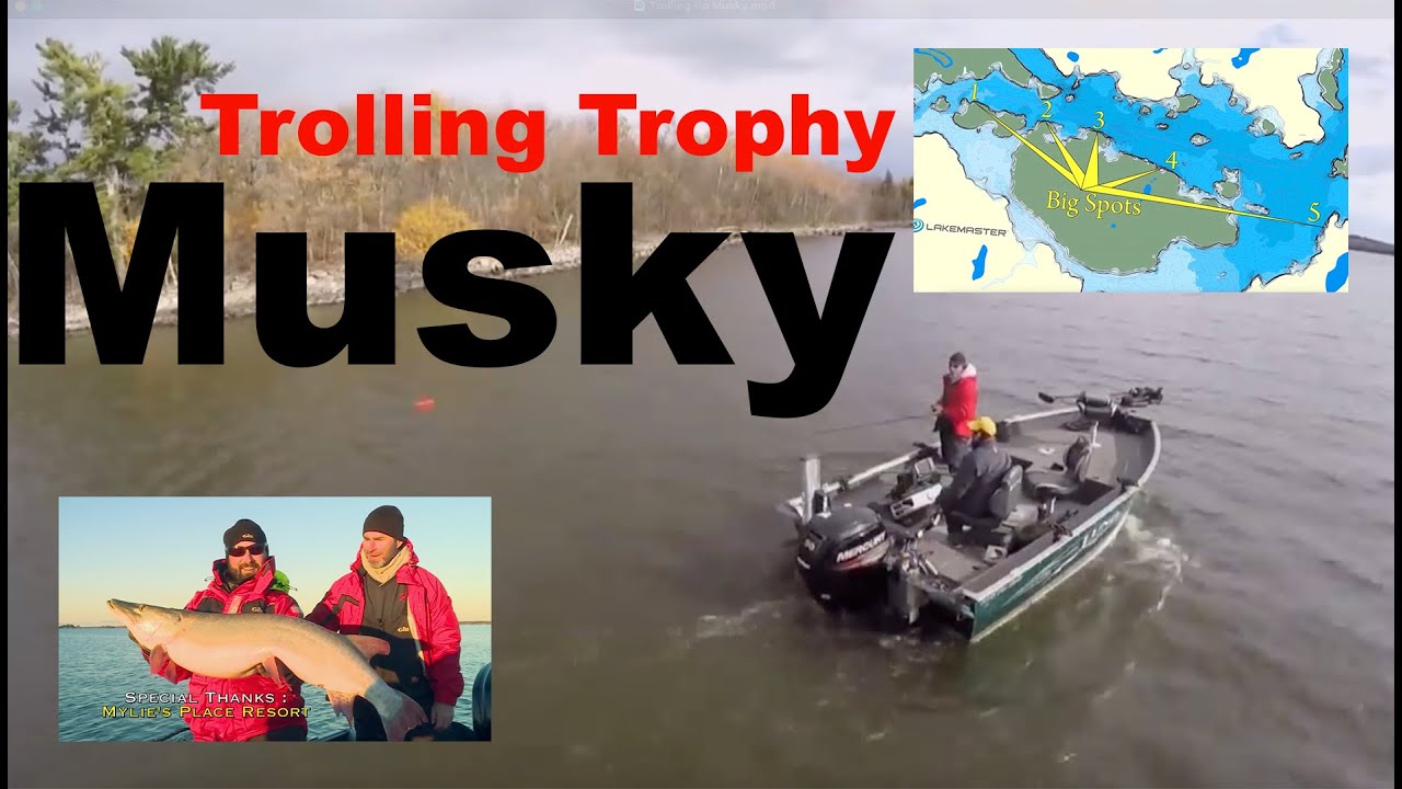 Landing Trophy Musky With This Trolling Method
