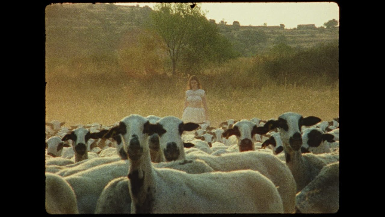 Laaza - De ciudad