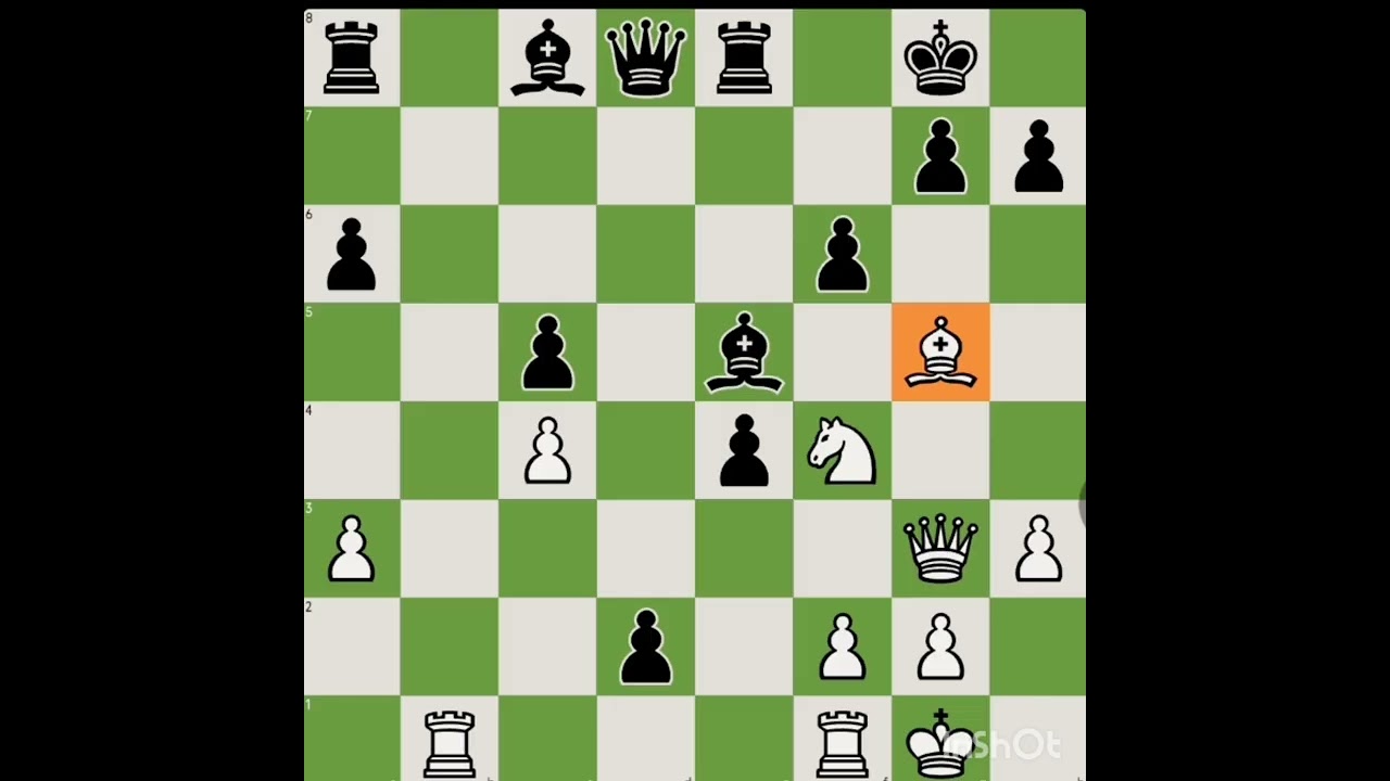 Checkmate..#chess#