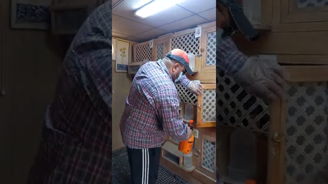 ١٧ مايو ٢٠٢٢