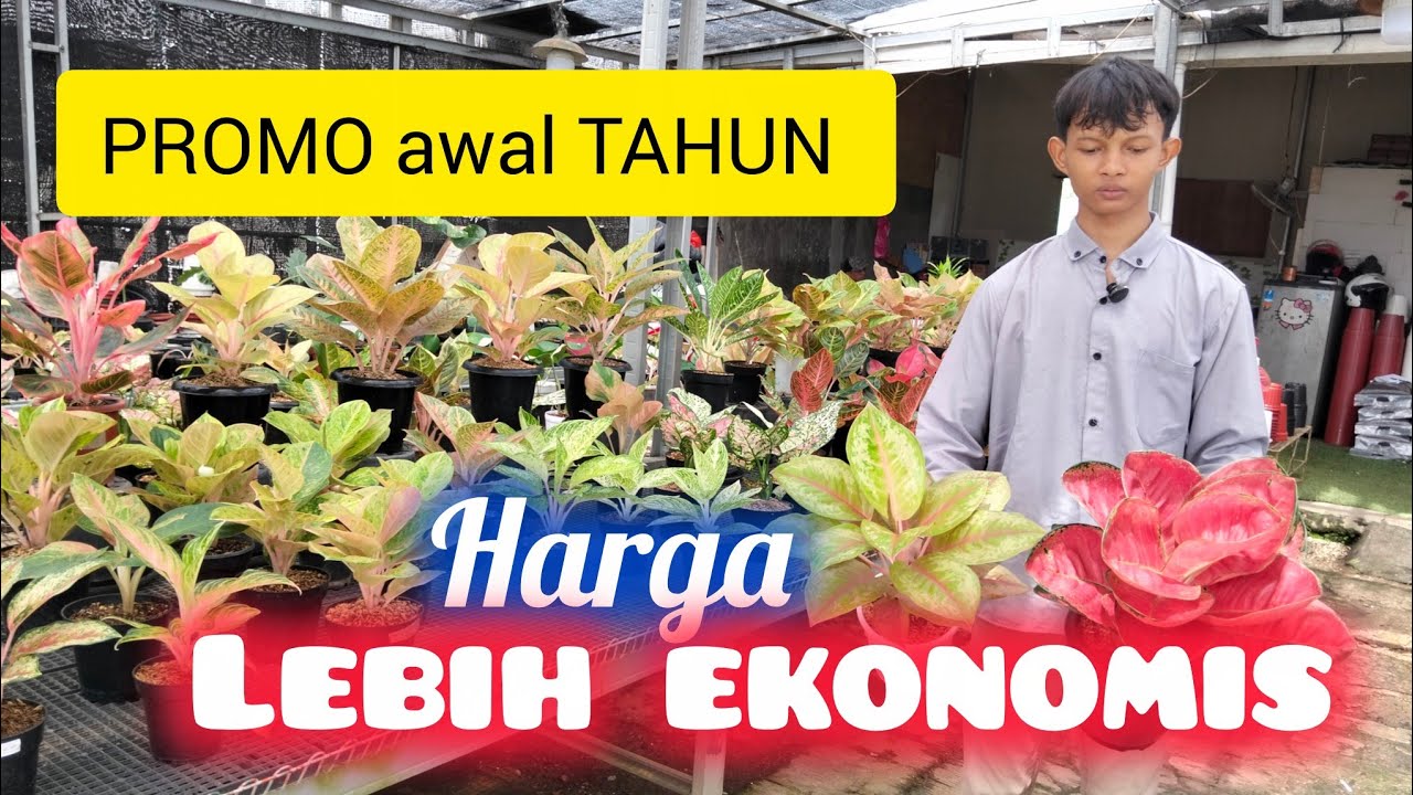 PROMO HARGA DIAWAL TAHUN 