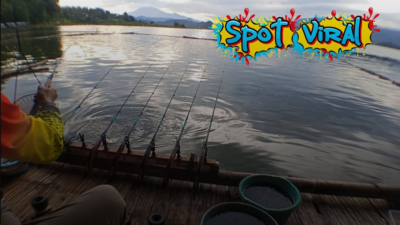 🔴Mancing jatigede terbaru|||Pantesan di lapak ini selalu penuh