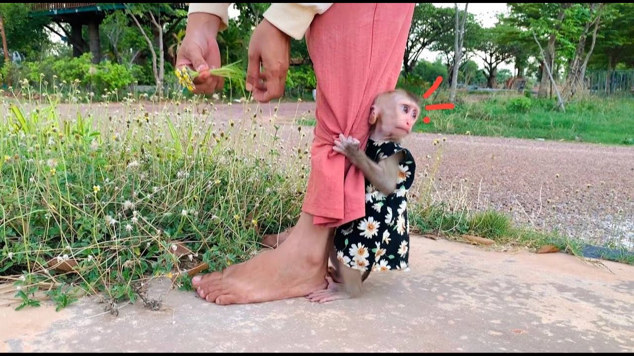 Supper kid Jasmine vry sc-reee the sound of machinery at her home stay