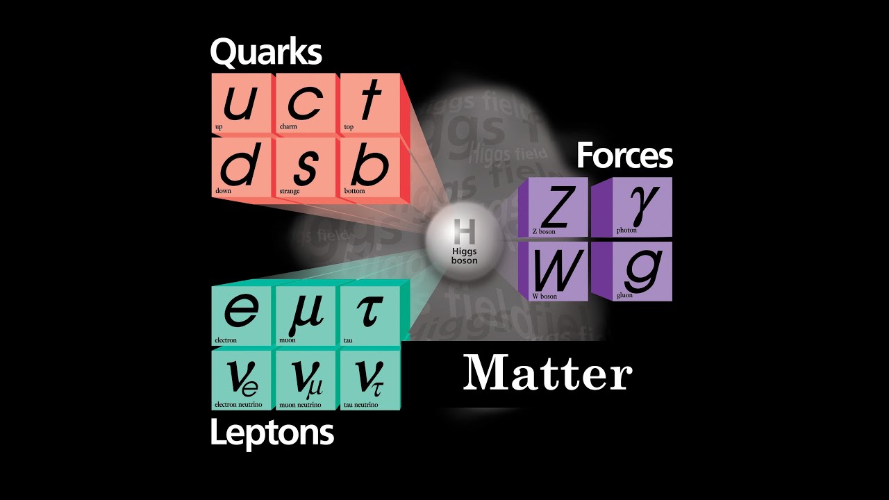 Matter: Nuclear & Particle: Edexcel A-level Physics