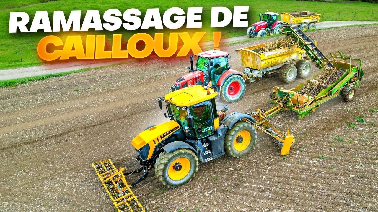 DÉBUT DES VÊLAGES ET RAMASSAGE DE CAILLOUX EN CONDITIONS LIMITE !