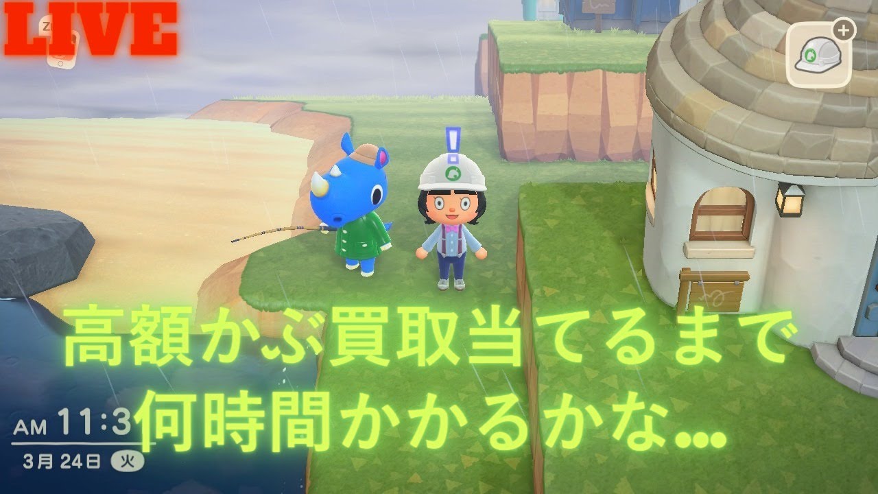 【あつまれどうぶつの森配信】　高額かぶ買取当てるまで何時間かかるかな…part2