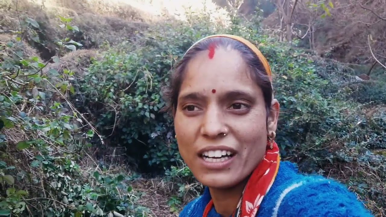 एक बार फिर गांव में काम शुरू ‌।। Rachna sajwan vlog #pahadilife#rachna sajwan vlog 