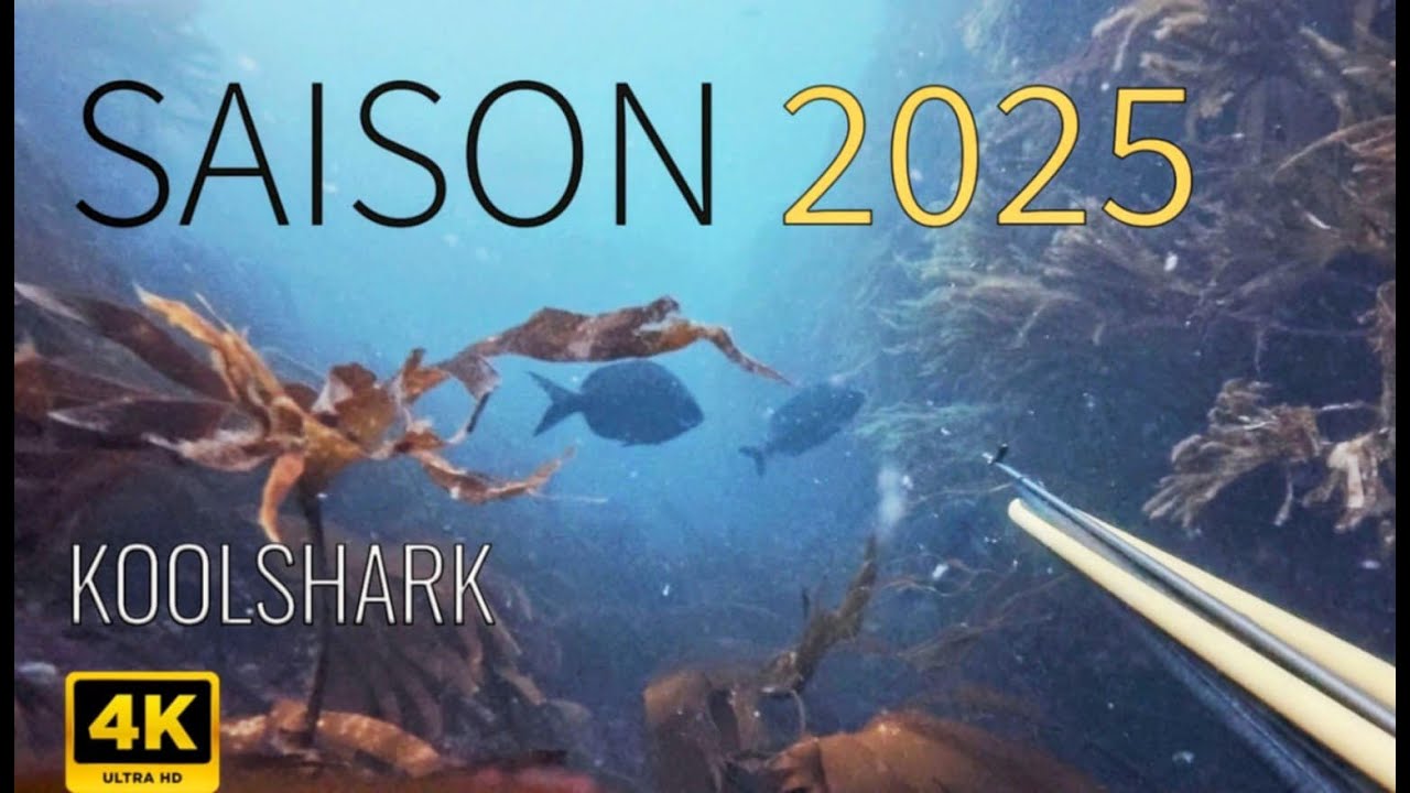 Chasse sous marine - Saison 2025 (Bretagne)