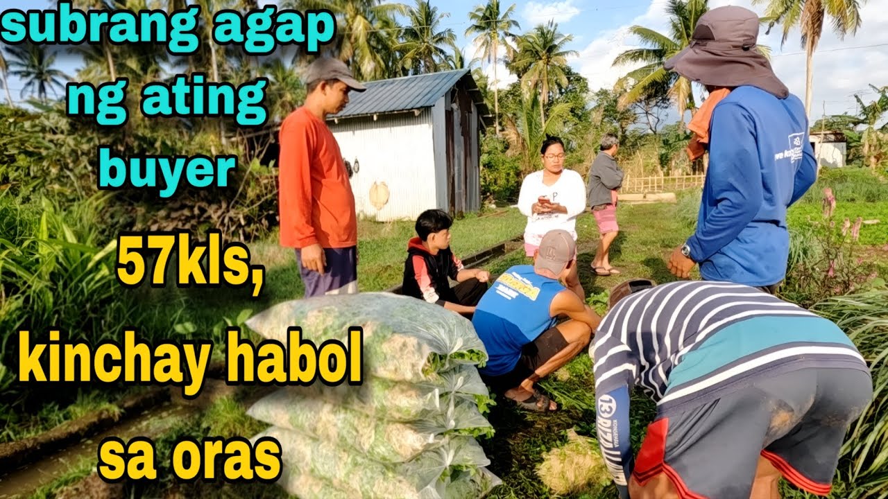 Ma agang lusong ng ating  buyer para sa kinchay