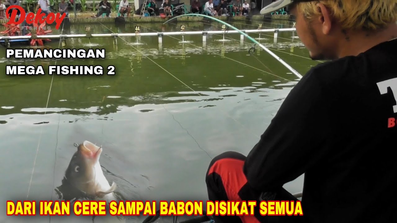 Umpan BANDIT Gacor Pisan Gempur Pemancingan Mega Fishing 2