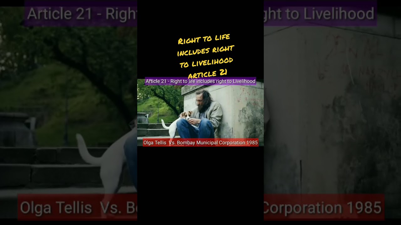 Right  life includes right to livelihood under article 21