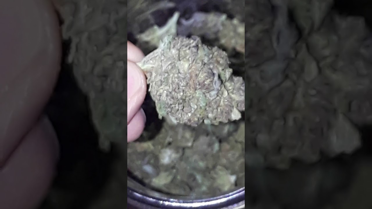 Hemp Ounce | Trophy Wife Hemp Strain