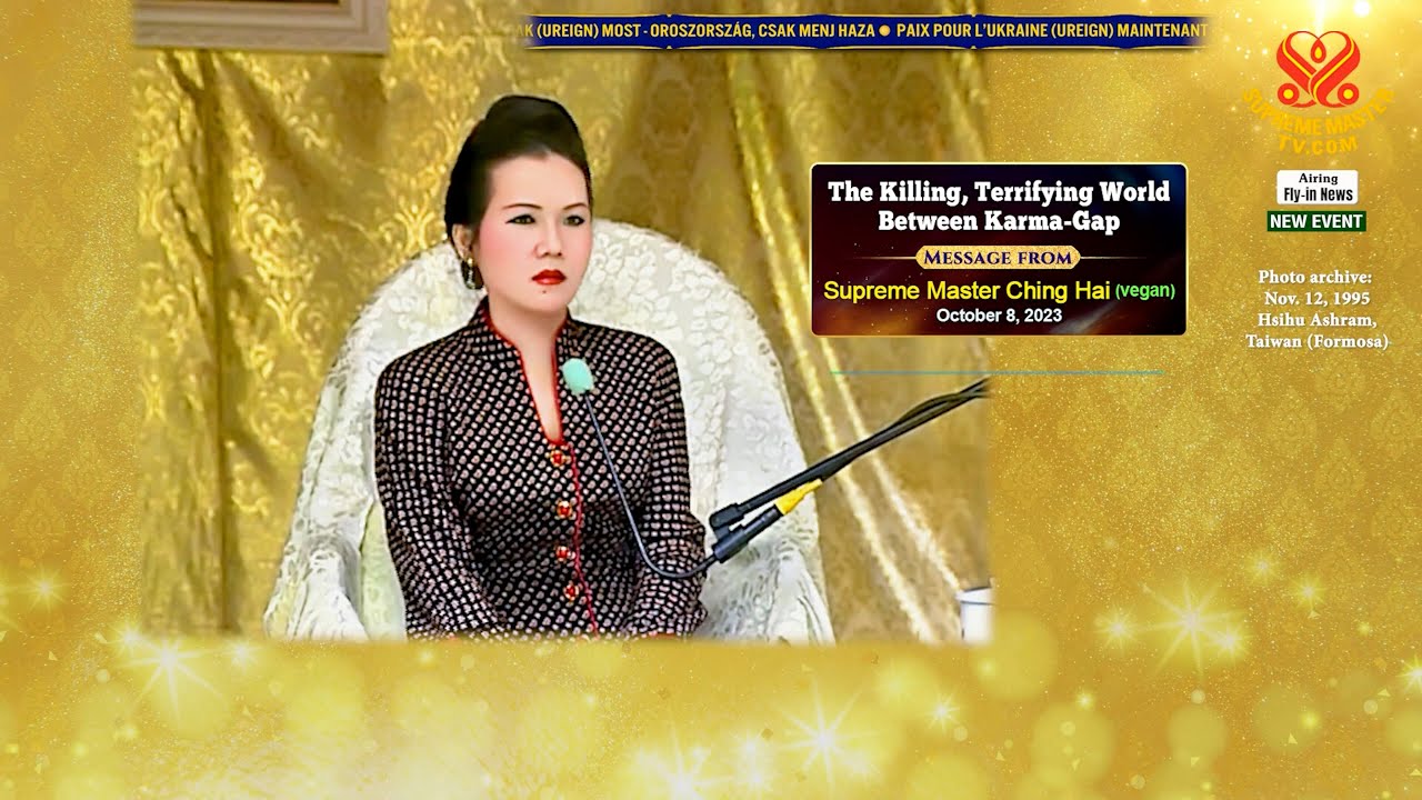 The Killing, Terrifying World Between Karma-Gap | SupremeMasterTV.com