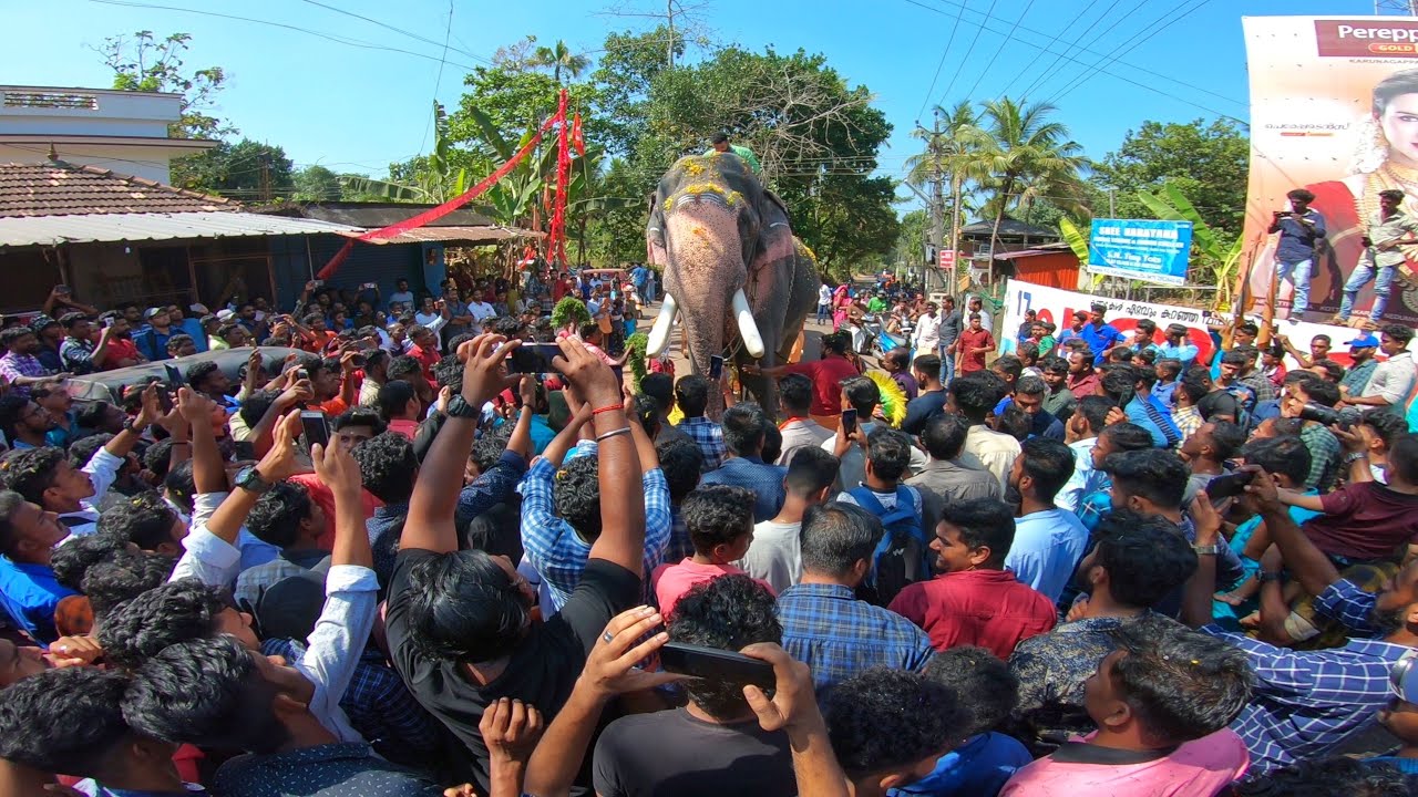 Anayadi pooram 2020 | Puthupally Kesavan | സ്വീകരണം Dharmaraksha Padinjaran Desham | ആനയടി പൂരം 2020