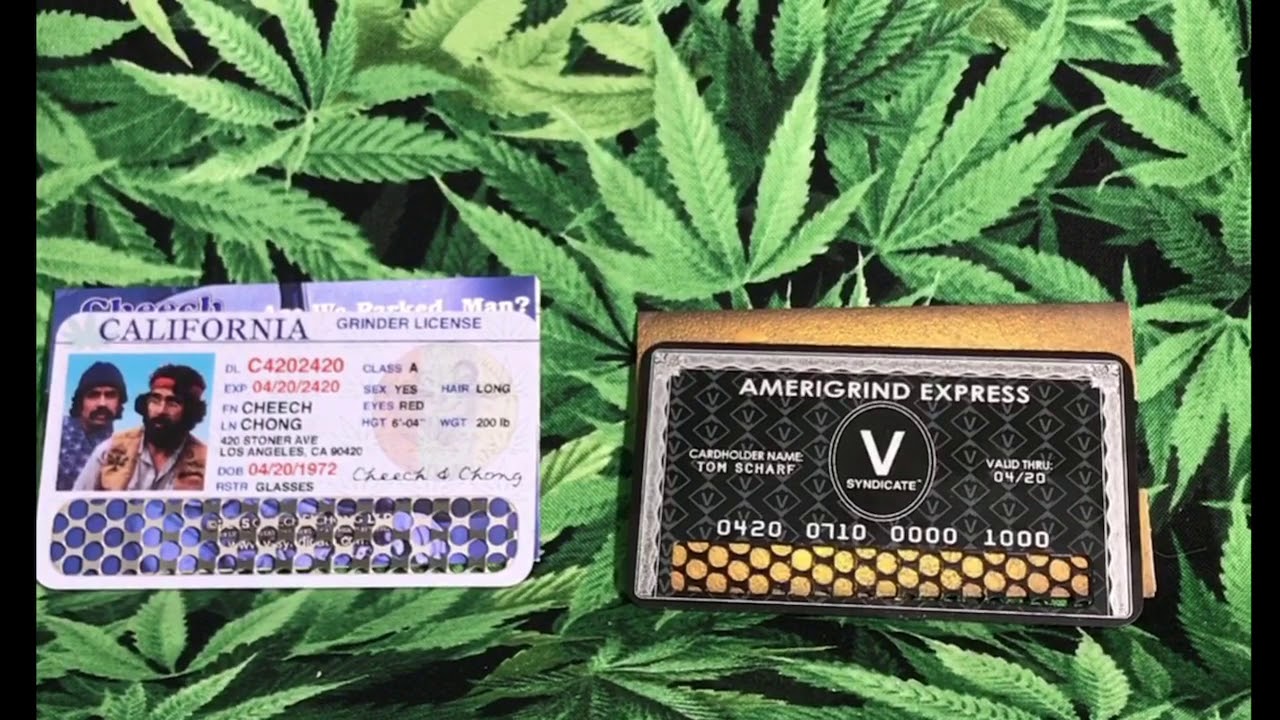 V-syndicate review