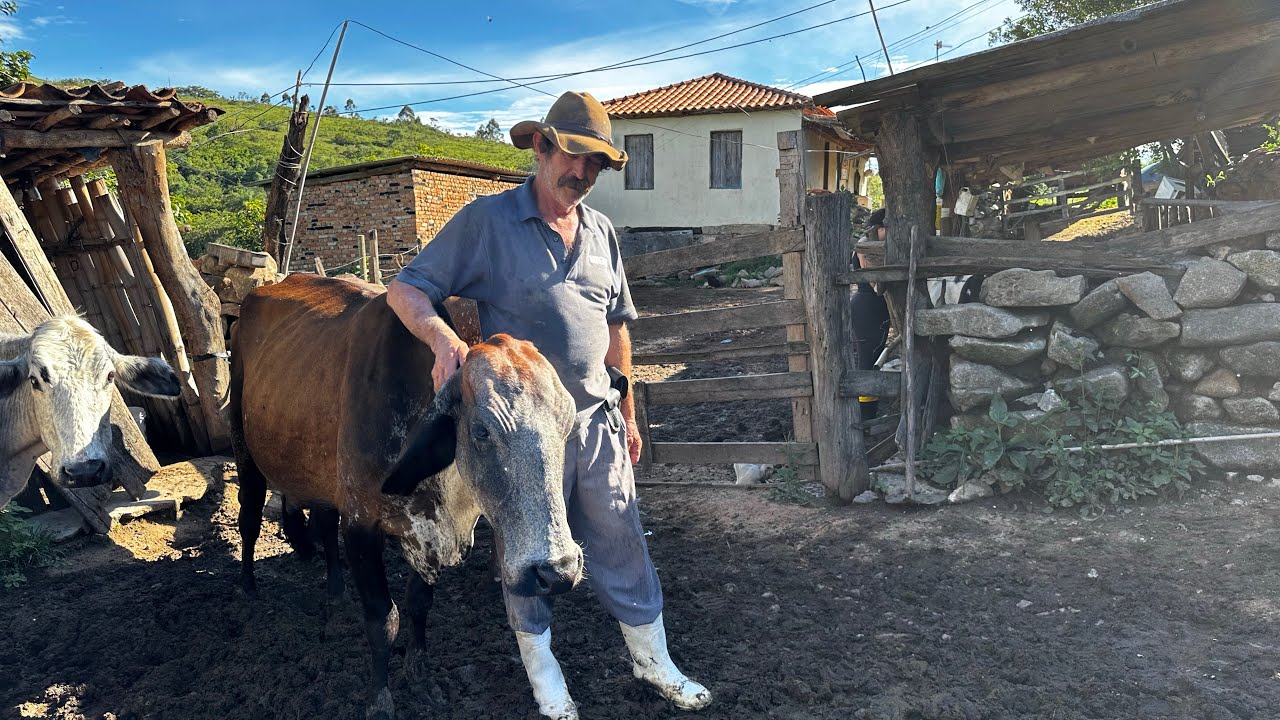 Adilson revela o segredo que mesmo o leite esteja em queda ele continua com margem de 40%.