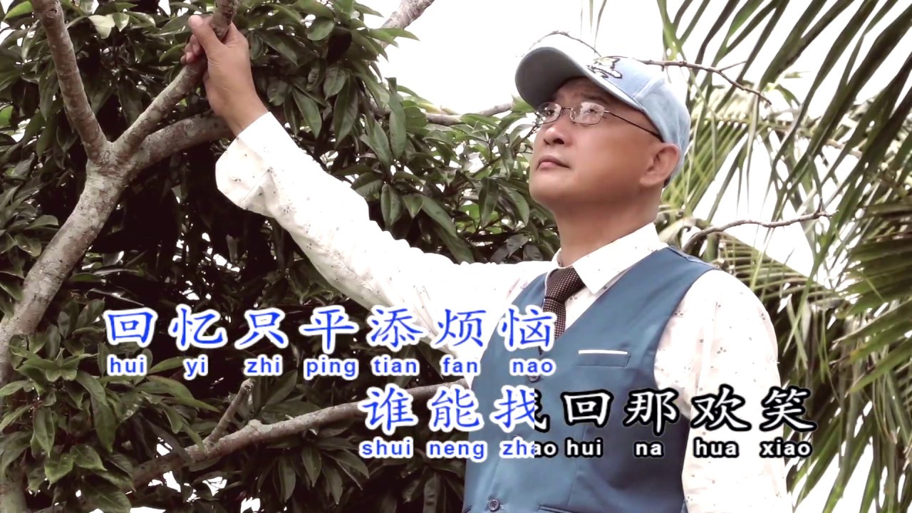 让回忆随风飘  - 扬音乐旗下杨庆最新专辑 Vol 10 选曲