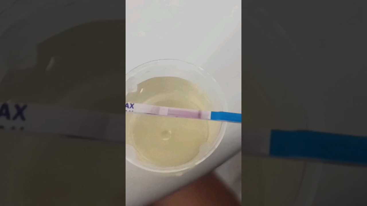 teste de gravidez confira da shopee funciona 😲 #gravida #resultados #negativo #positivo #gravidez