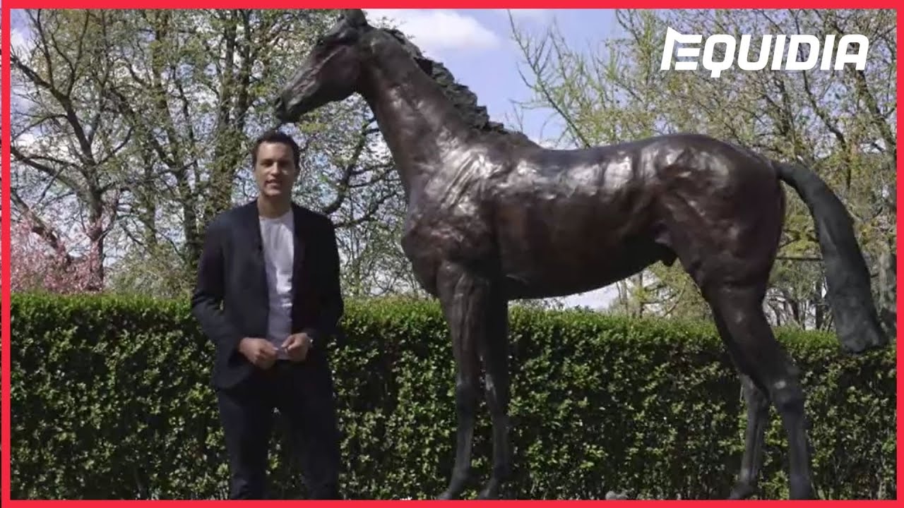 L'HISTOIRE DE LA PLUS BELLE COURSE D'AUTEUIL |  Vu dans #LGH du Grand Steeple-Chase de Paris #4