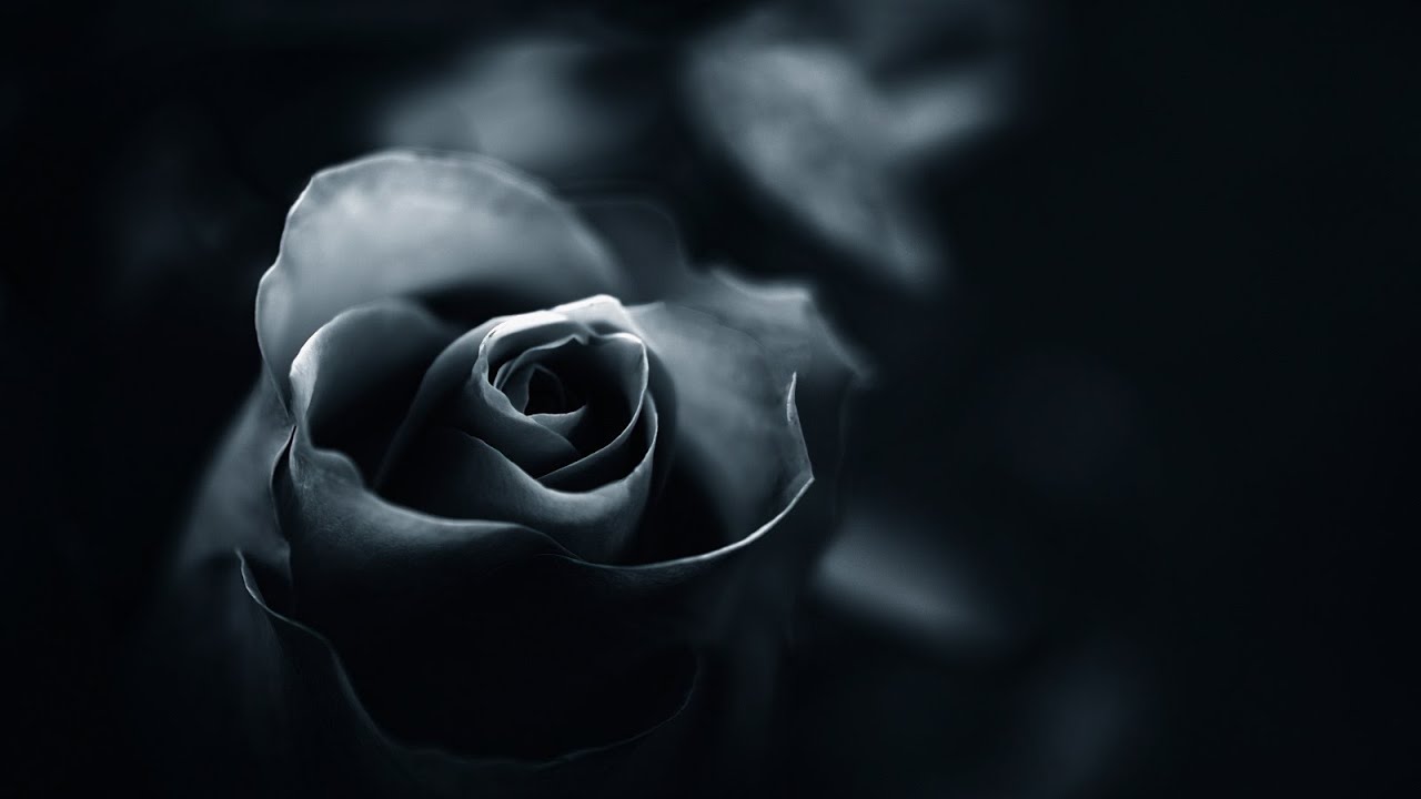Relaxing Dark Romantic Music &ndash; Black Rose ★290 | Spooky, Gothic