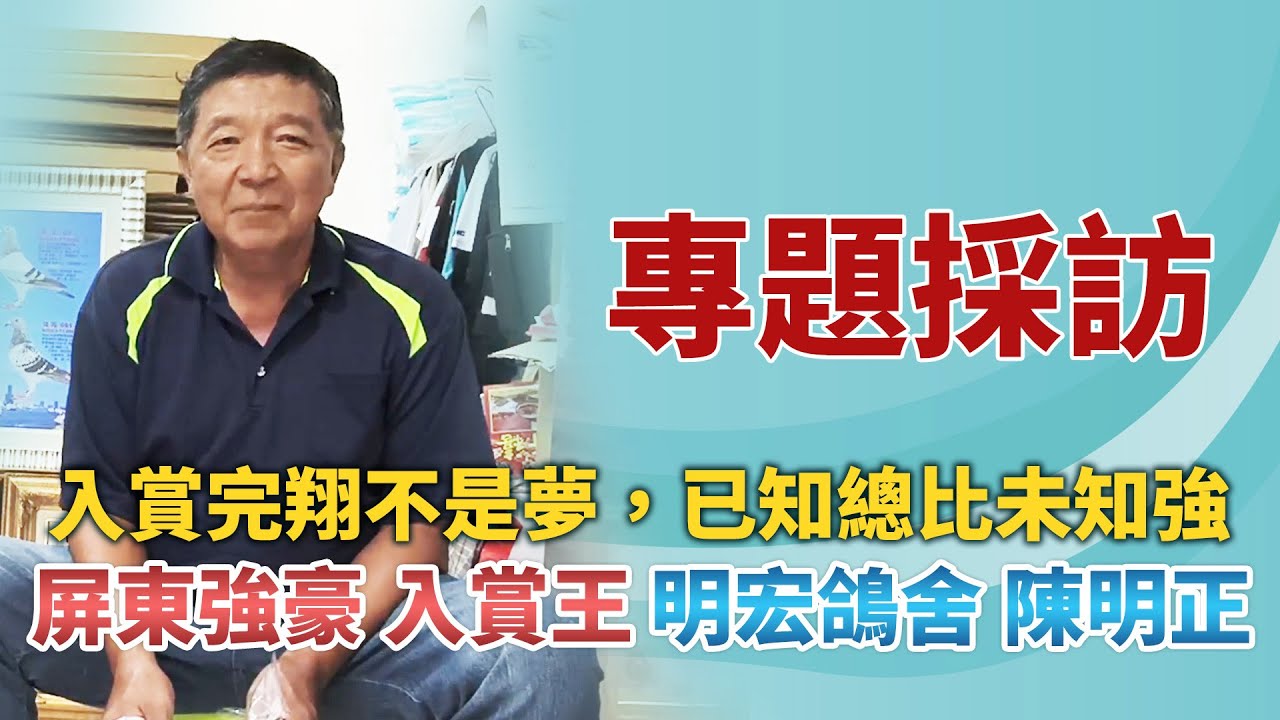 專題採訪【明宏鴿舍 陳明正】入賞完翔不是夢，已知總比未知強千錘百鍊，高入賞優秀種質的實力，為您登峰造極！ #採訪 #殺流 #低歸返 #失格歸返鴿 #強豪  #種鴿 #養鴿 #賽鴿 #2100賽鴿王