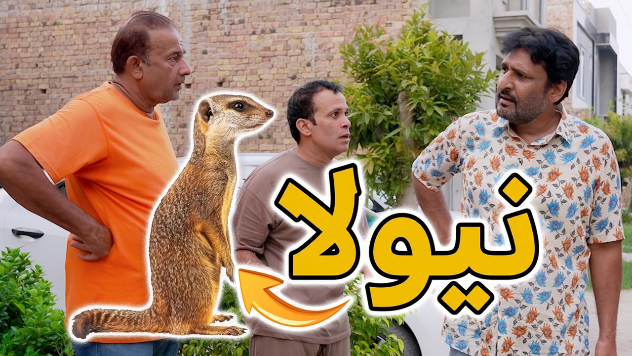Rana Ijaz caught a mongoose | Rana Ijaz New Funny Video | Standup Comedy By Rana Ijaz | #ranaijaz