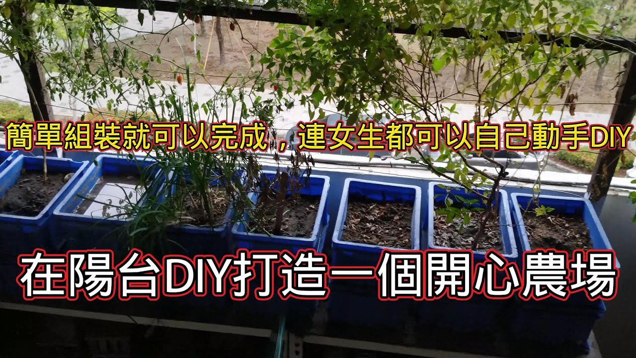 45天不需要澆水，在陽台DIY打造一個開心農場，簡單組裝就可以完成，連女生都可以自己動手DIY