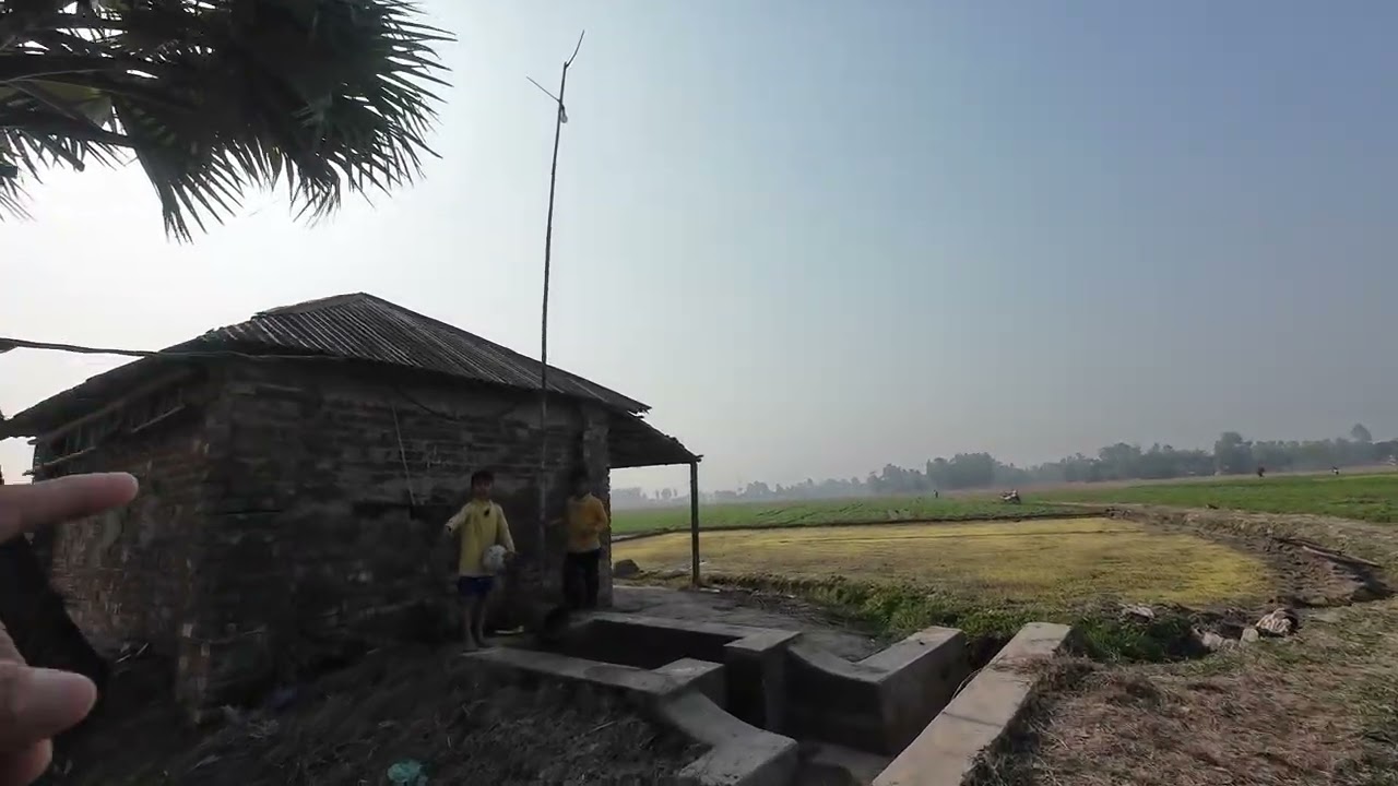 সরিষা ক্ষেত , মাঠ