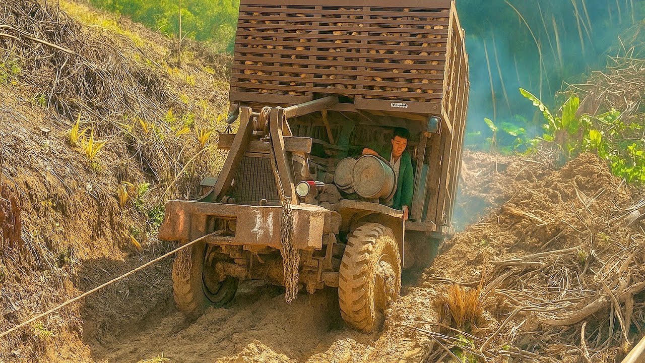 Xe Độ Chở Gỗ bị dính lầy tời nhổ gốc cây hết không chịu ra #xeđộ