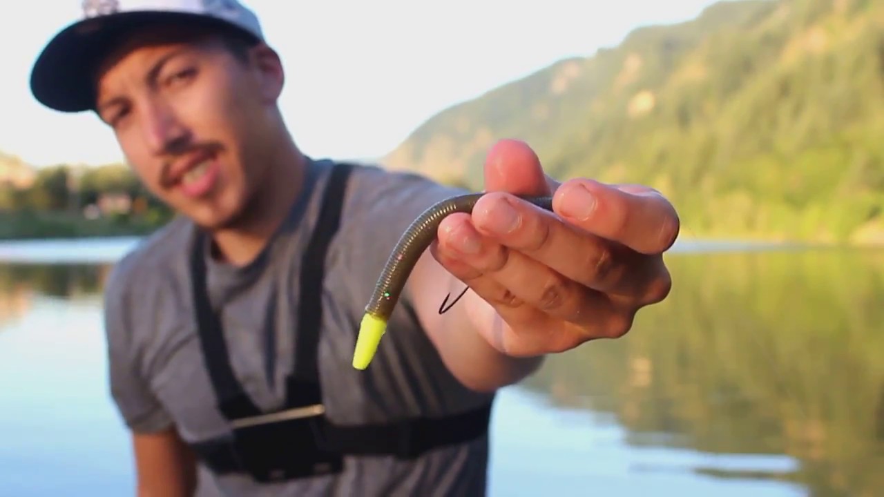 PdXfishing Catchin Up- Montage
