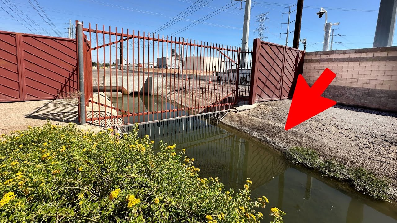 Can I Catch 5 Species of Fish in This Tiny Canal?