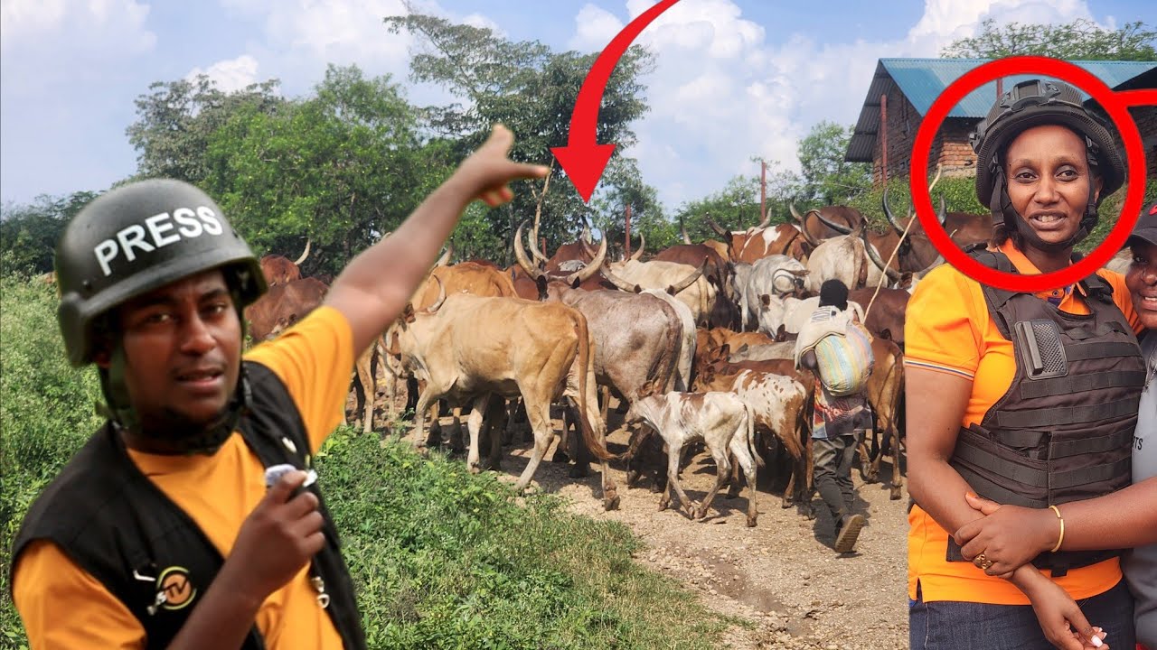 MUTESI SCOVIA YIHURIYE NA BANYAMULENGE ,BAMWERETS'INKA ZACITSE KWICUMU RYA MAI MAI LIVE IMULENGE