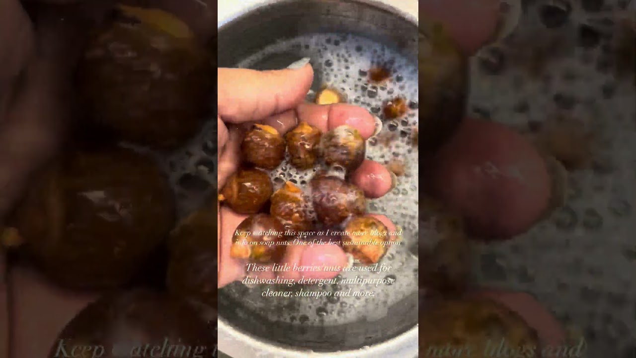 How to use soap nuts at home Soap Nuts Secrets: From Hair Care to Cleaning #asmrsounds