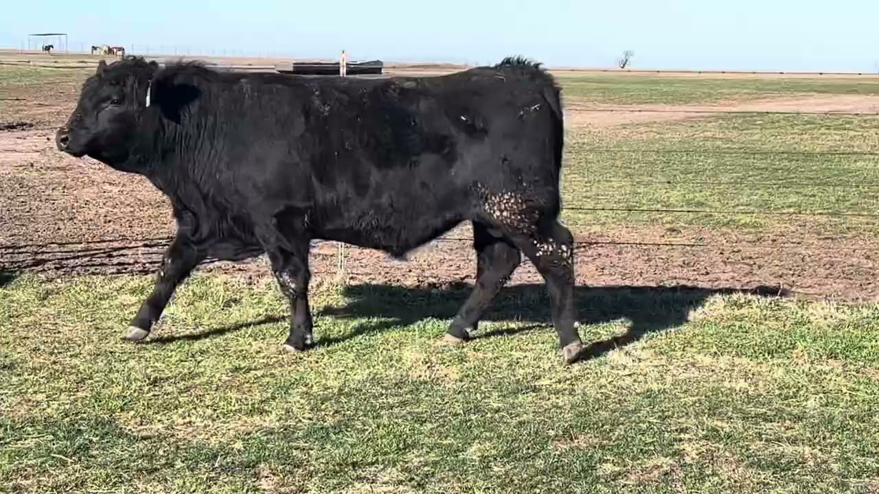 L164