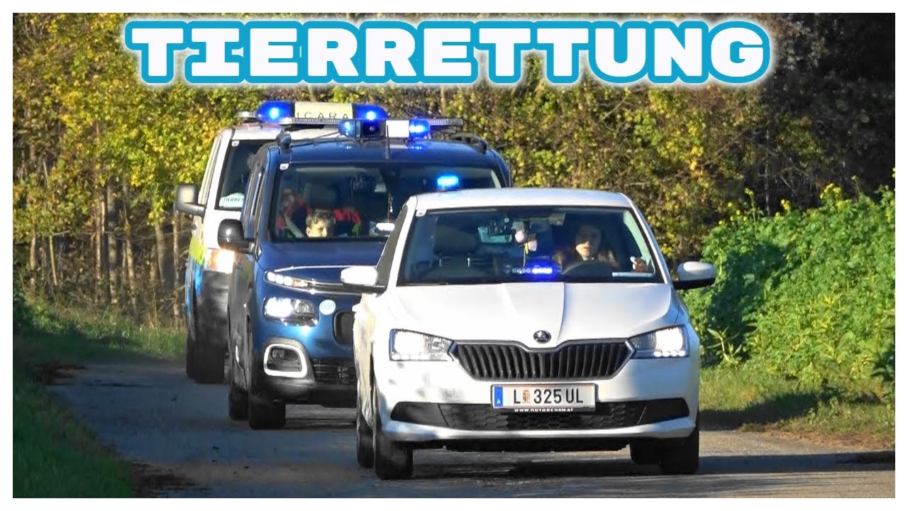 3x Einsatzfahrzeuge ICARA Tierrettung e.V. Linz