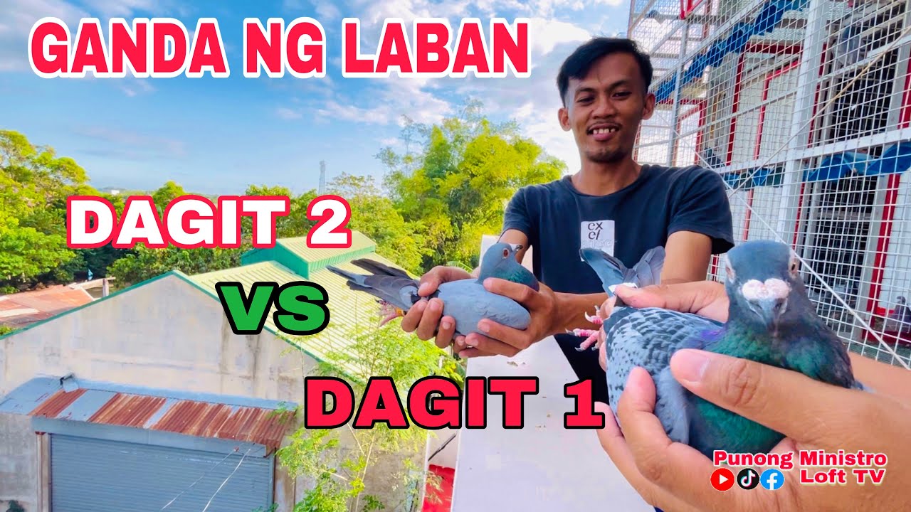 EP541 - DAGIT vs  DAGIT GANDANG LABAN NITO!