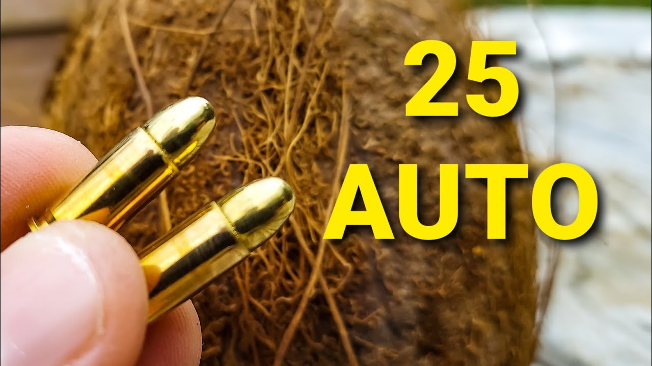 25 auto do samoobrony? - Test kokosa #szorty
